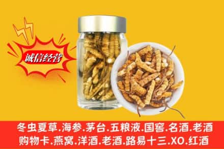 吕梁方山县回收散虫草